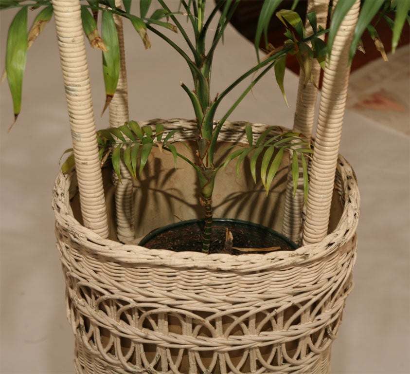 20th Century Wicker Floor Lamp/Fernery For Sale
